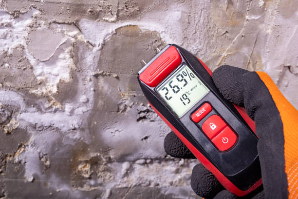 Zephyrhills South, FL Mold Removal Company